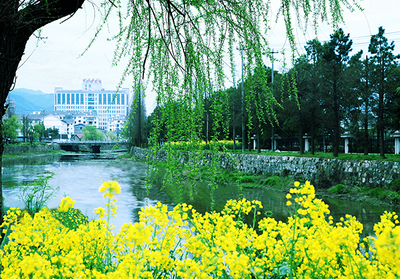 这25个村镇上了全国示范名单 泰顺县村尾村上榜