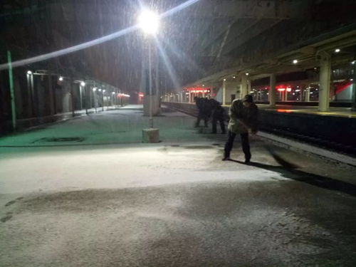 这个假期,与风雪共舞