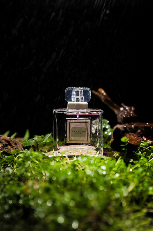 天然成分无添加香水植树节产品物品摄影图片 素材11