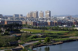 义乌大陈农业的万亩竹海是卧虎藏龙中竹林打斗的拍摄地吗