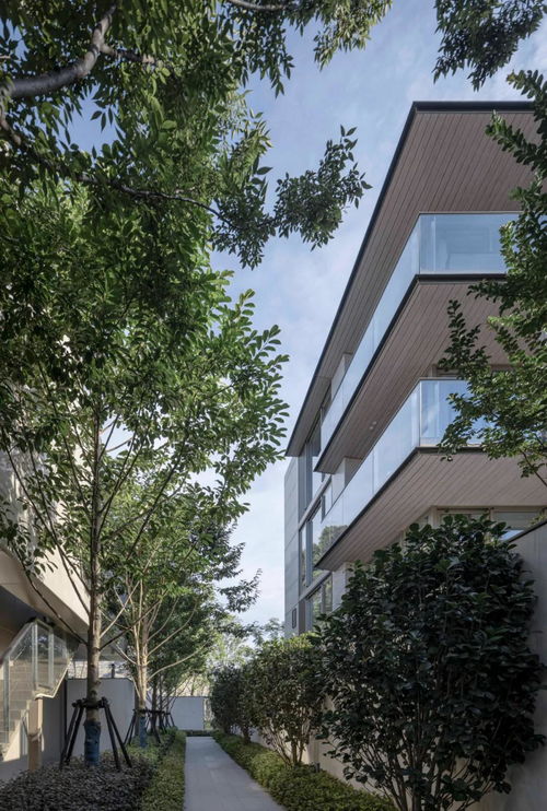 禾田墅品 美出新高度的叠墅,照亮家乡的归心之路