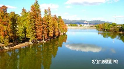 美得过分!义乌这个拍照圣地,不去一趟太可惜