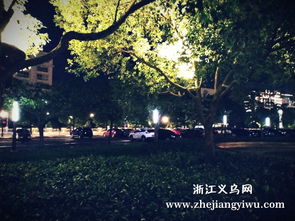 浙江义乌网摄影图片 金华金东区政府对面的施光南音乐广场