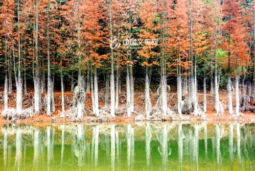 探秘义乌小九寨沟 摄影爱好者的绝美天堂