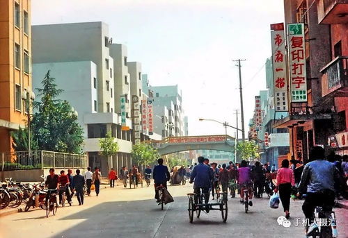 光影漫步八婺，五十年渡口见证時代印记