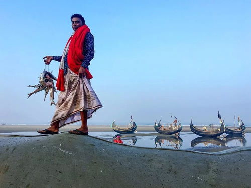 第二届全国手机摄影作品展亮相义乌 光影盛宴，美不胜收